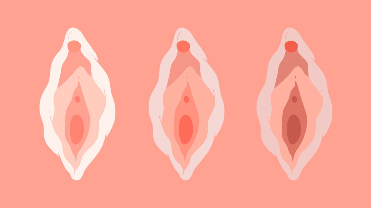 Fotos de tipo de vaginas