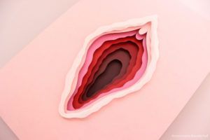 vulva ilustración